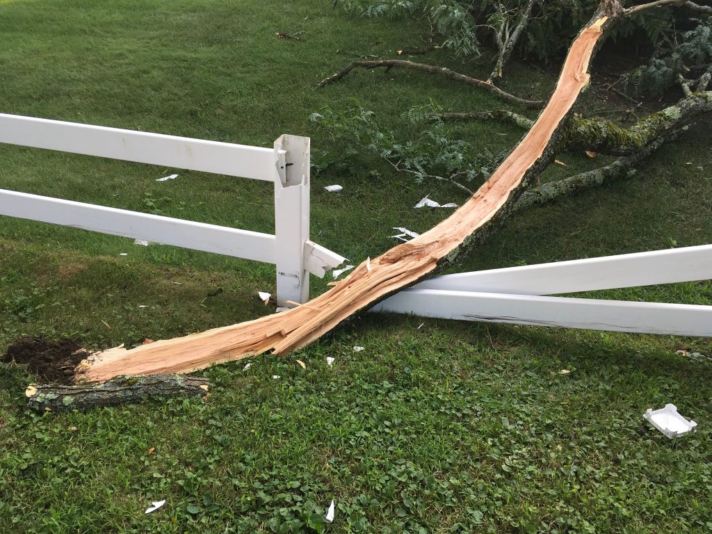 Who Is Liable If My Neighbors Tree Falls On My Property Obrien